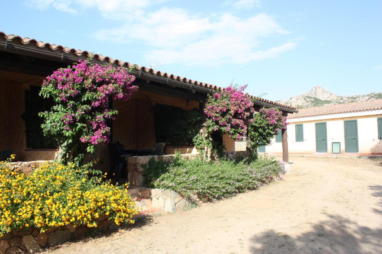 Agriturismo Lu Branu アルツァケーナ エクステリア 写真