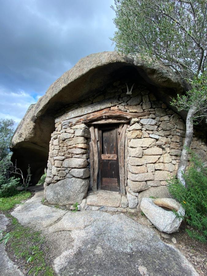 Agriturismo Lu Branu アルツァケーナ エクステリア 写真