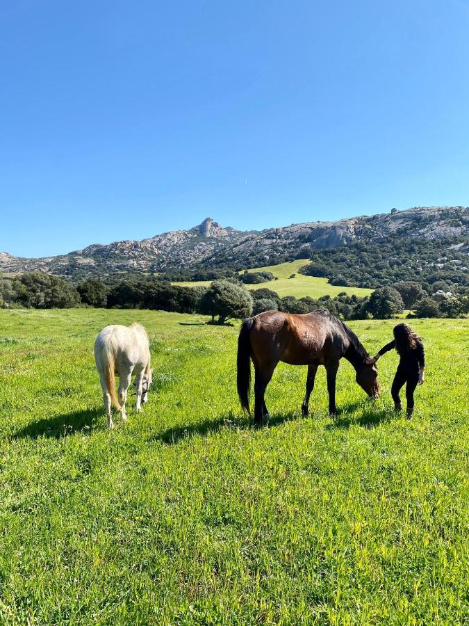 Agriturismo Lu Branu アルツァケーナ エクステリア 写真