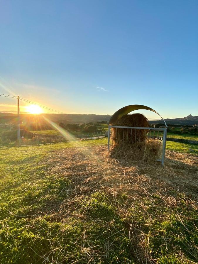 Agriturismo Lu Branu アルツァケーナ エクステリア 写真