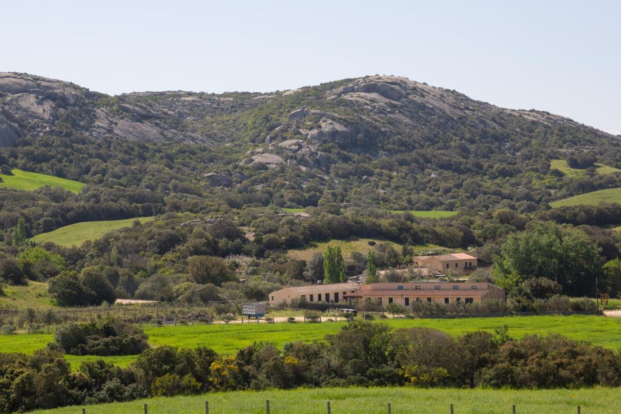 Agriturismo Lu Branu アルツァケーナ エクステリア 写真